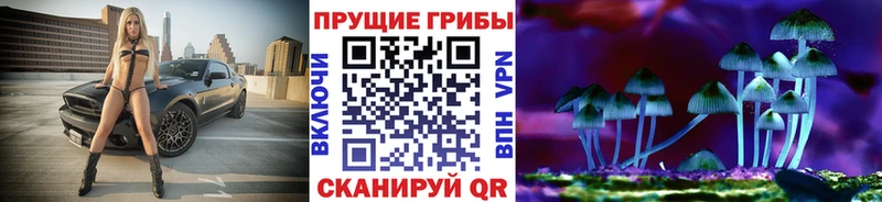 наркотики  Чернушка  Псилоцибиновые грибы мицелий 