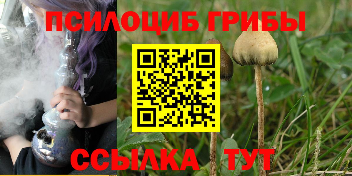 как найти закладки  Галлюциногенные грибы MAGIC MUSHROOMS  Вход с VPN  Чернушка 